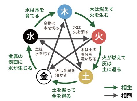 五行 木 性質|四柱推命【木 (き)】の五行の特徴｜性格・相性・仕事・恋愛を解